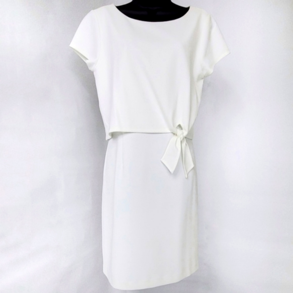 Daniel Cremieux Dress - Picture 1 of 5